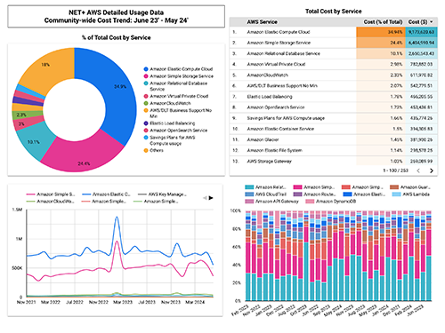 Graphic displaying NET+ AWS detailed usage data.