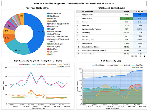 Graphic displaying NET+ GCP detailed usage data.